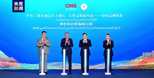 文明對(duì)話與世界關(guān)切 中埃伙伴年的意義與啟示